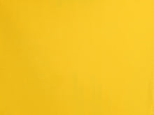 Laden Sie das Bild in den Galerie-Viewer, Sunflower Hype

